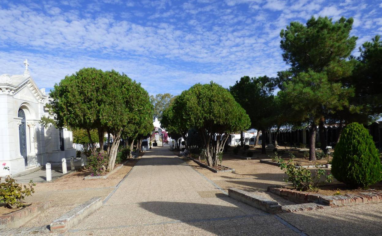 Paseo central del cementerio municipal de Castuera