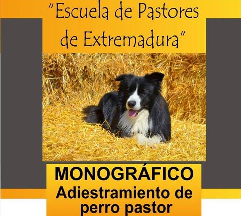 La Escuela de Pastores de Extremadura organiza un seminario de 'Adiestramiento de Perros de Pastor'