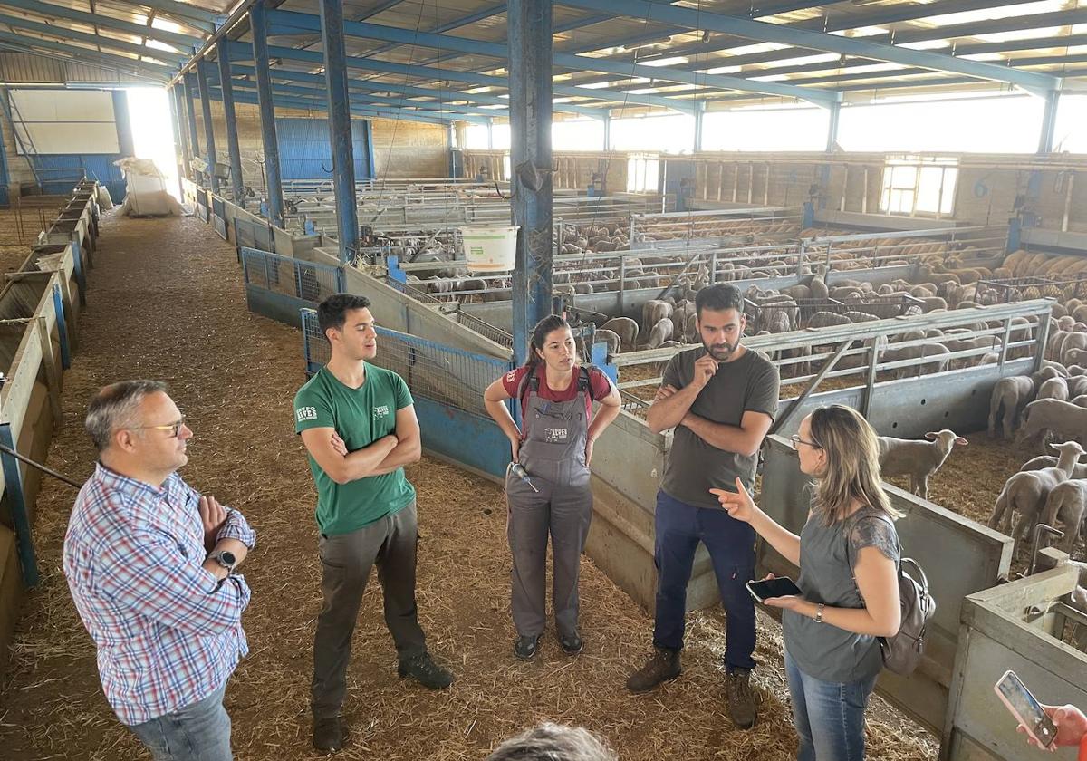 Los Grupos de Desarrollo Rural de Proyecto «ALIAS» celebran un encuentro de Cooperación en La Serena