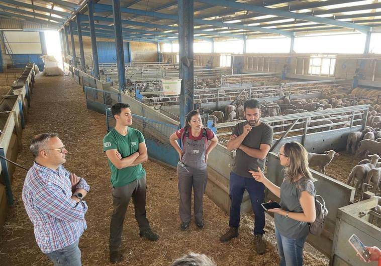 Los Grupos de Desarrollo Rural de Proyecto «ALIAS» celebran un encuentro de Cooperación en La Serena