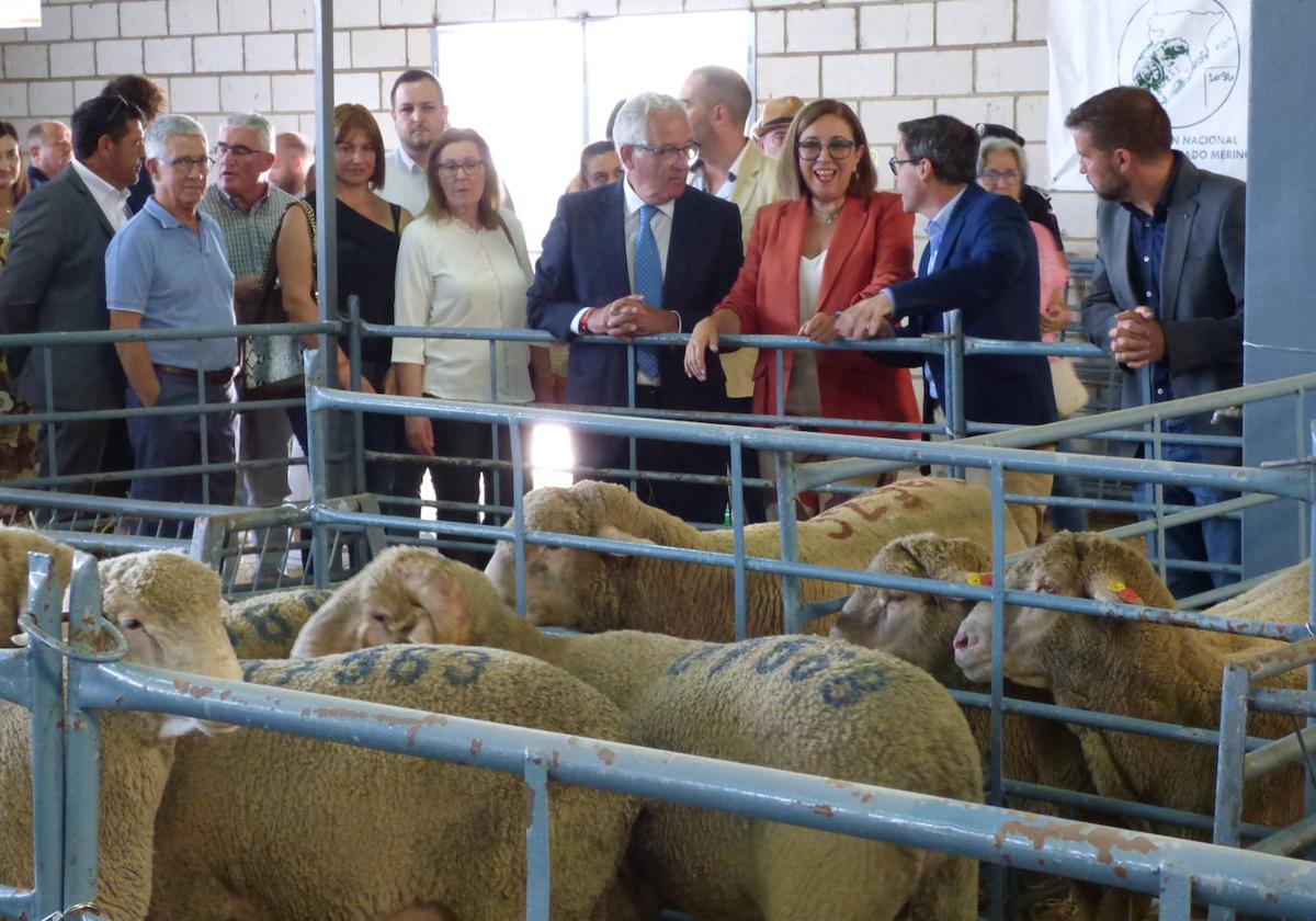 El Salón Ovino de Castuera abre sus puertas a profesionales y visitantes