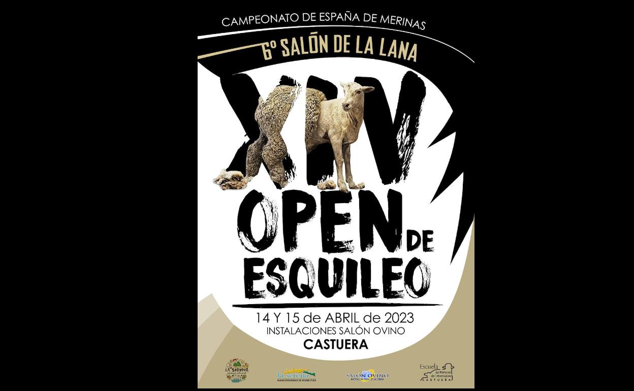 Cartel anunciador del campeonato. 
