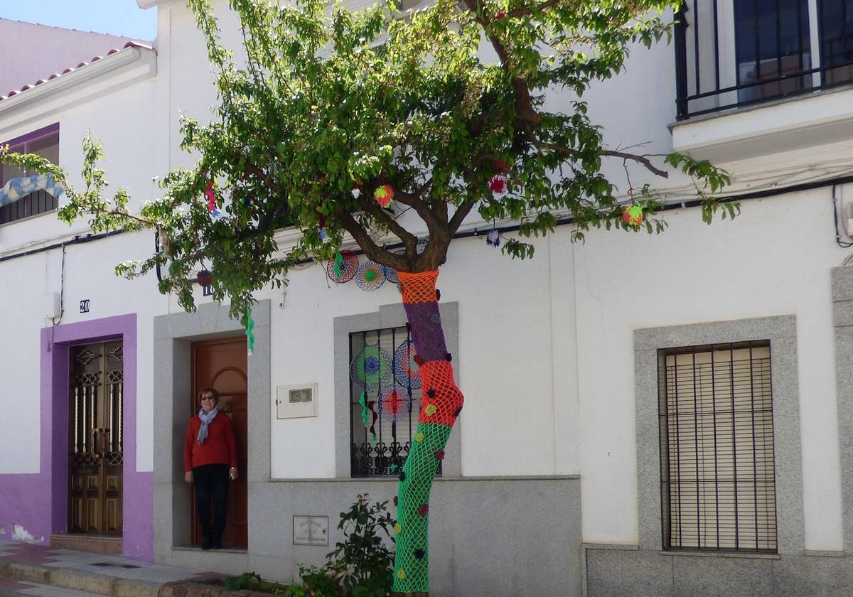 Árbol decorado con lana tejida.