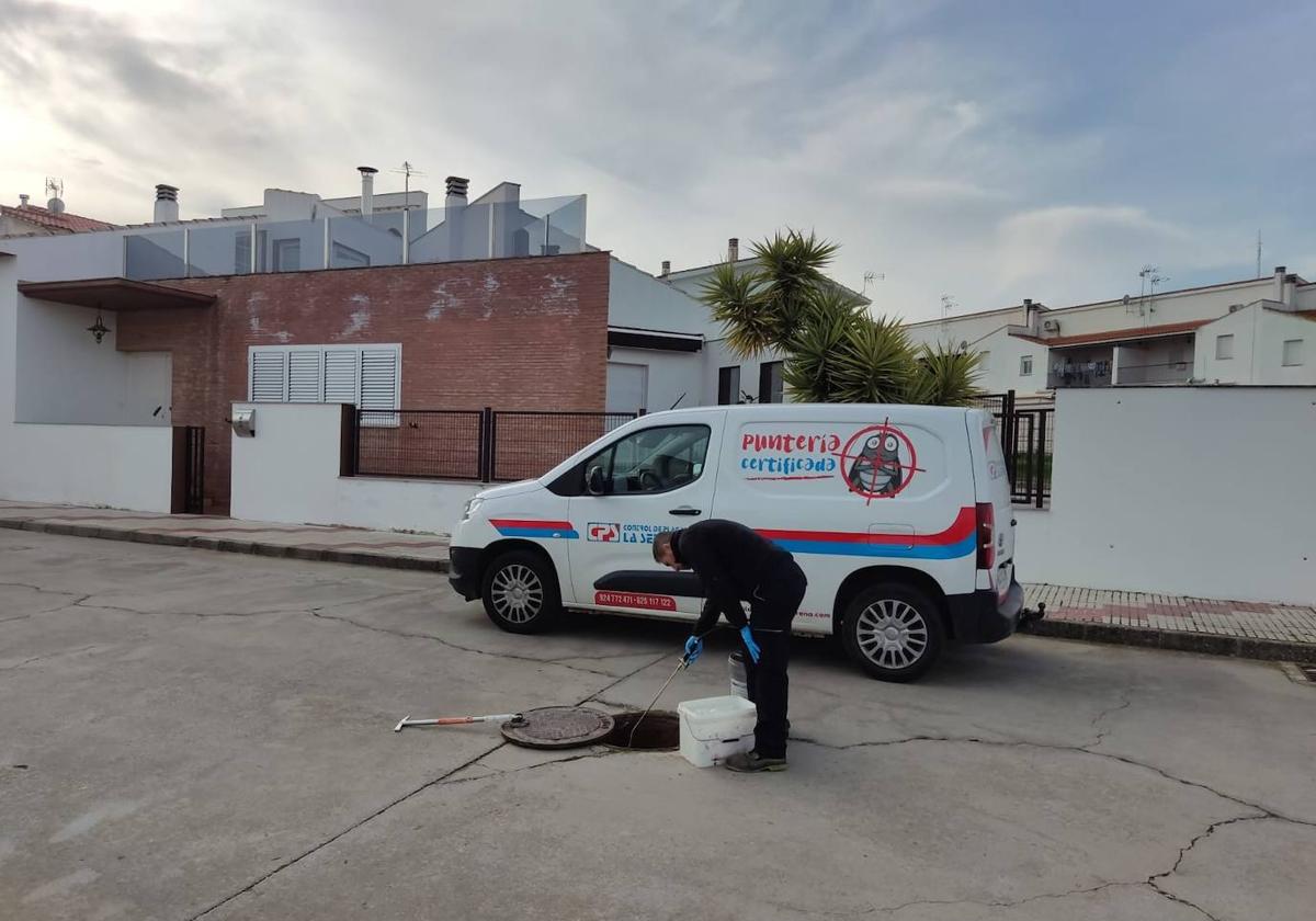 Nueva campaña de desratización y desinfección en la red de alcantarillado de la localidad