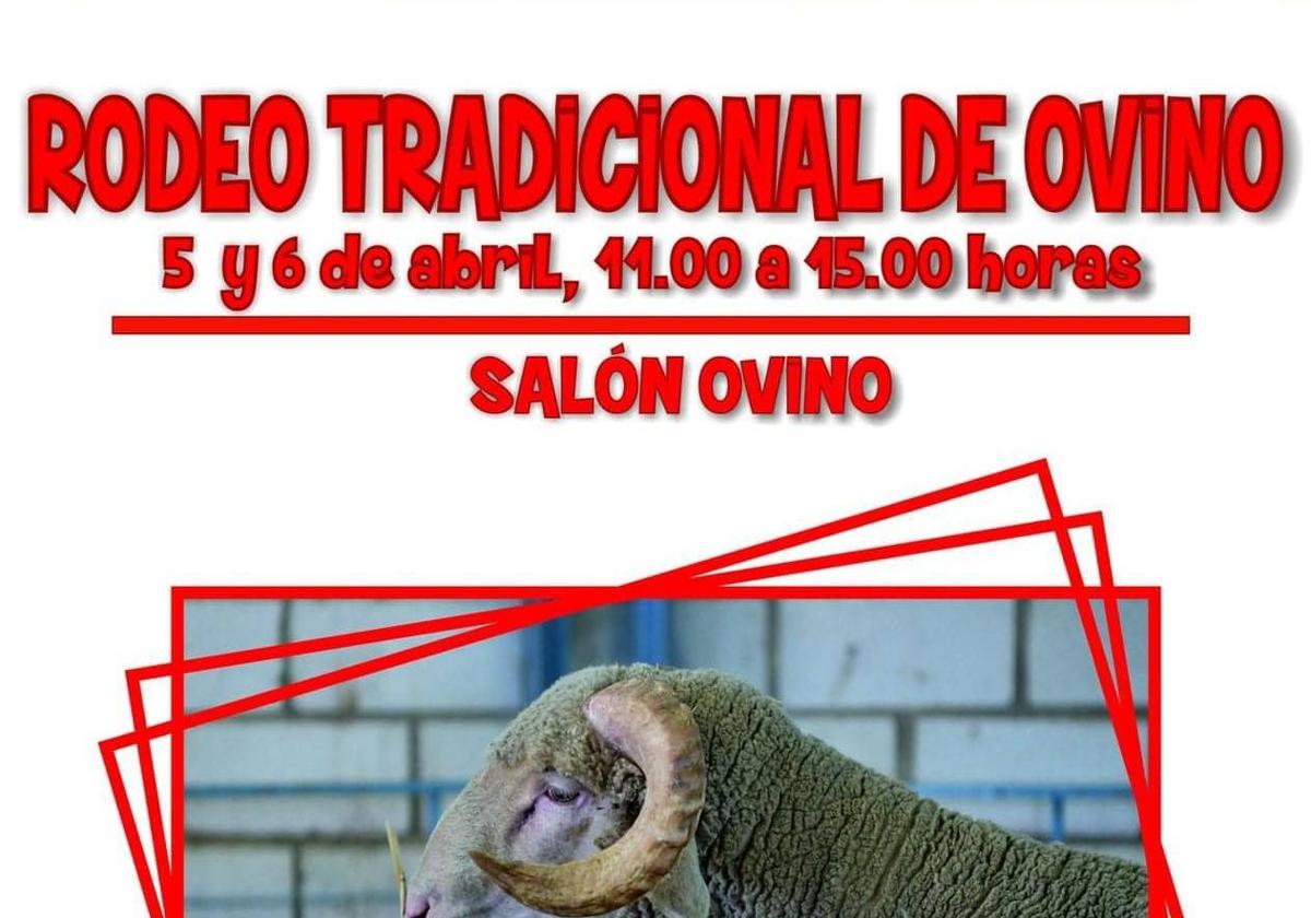 El Campeonato de España de Esquileo acogerá un rodeo de ganado Merino