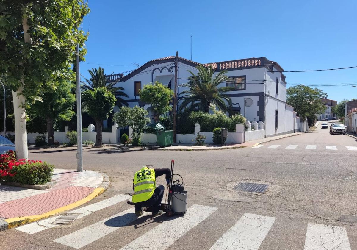 Nueva campaña de desratización y desinfección en la red de alcantarillado de la localidad