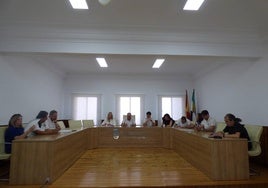 Imagen de la sesión del pleno de ayer martes 2 de julio.