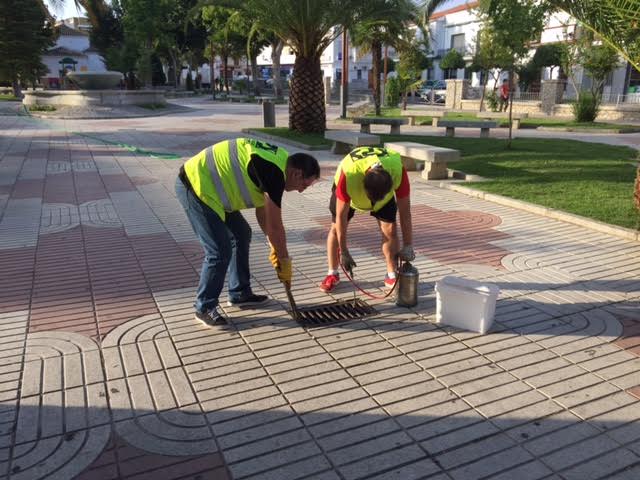 El Ayuntamiento inicia una campaña de desratización, desinsectación, y desinfección en toda la red de alcantarillado de la localidad