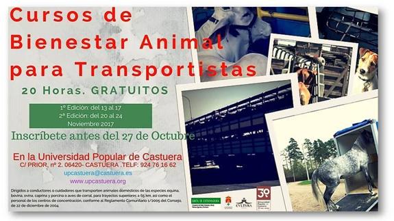 La Universidad Popular oferta dos cursos de bienestar animal para transportistas