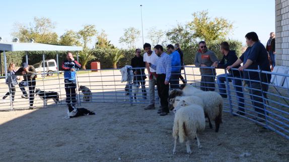 La Escuela de Pastores de Extremadura cierra sus primeros meses de andadura con un balance positivo