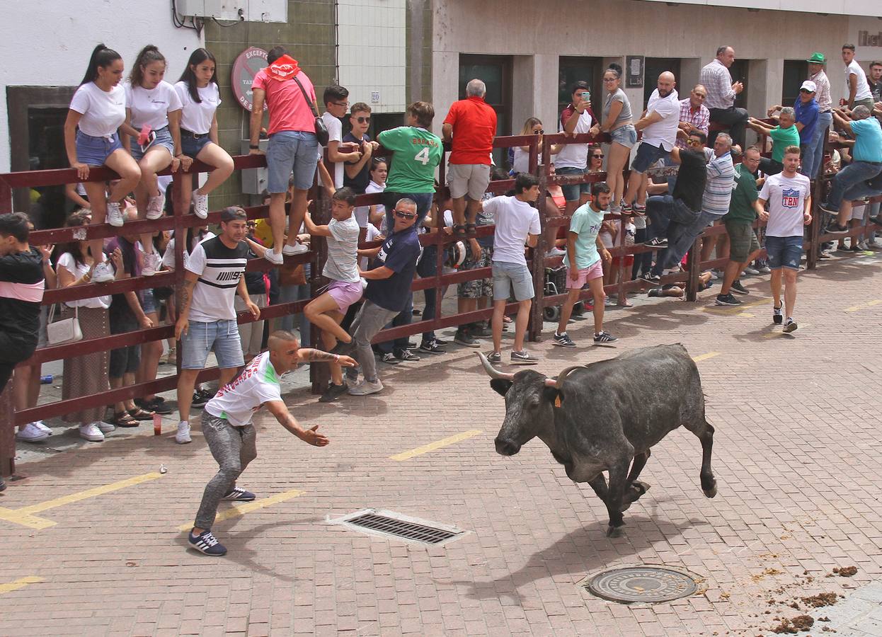 Joven citando a la vaca