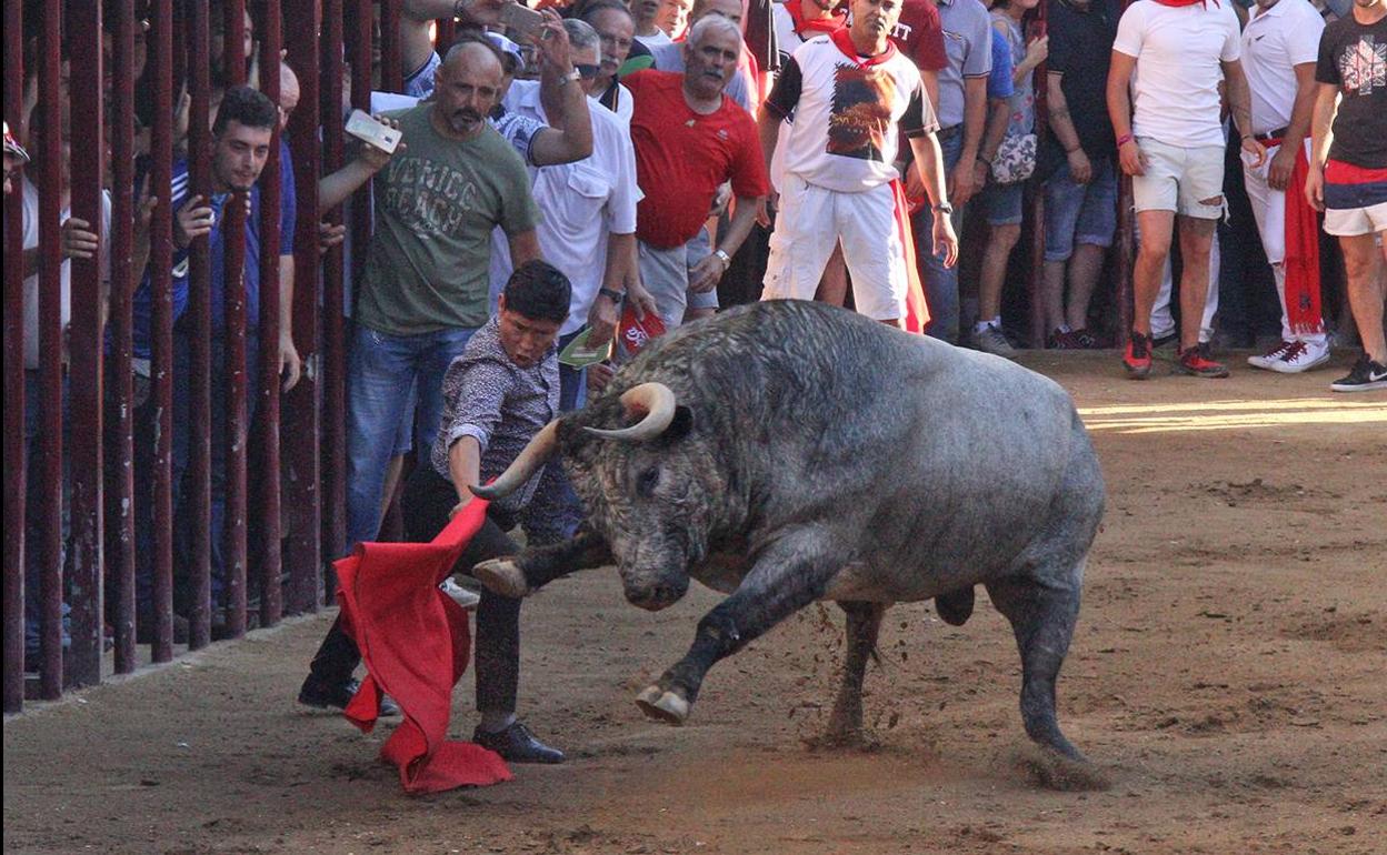 Maletilla dando unos pases a Taleguillo