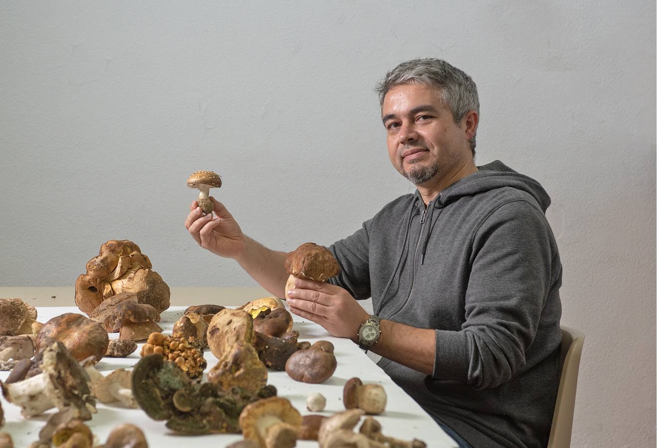 «En la comarca de Coria tenemos setas deliciosas y también mortales»