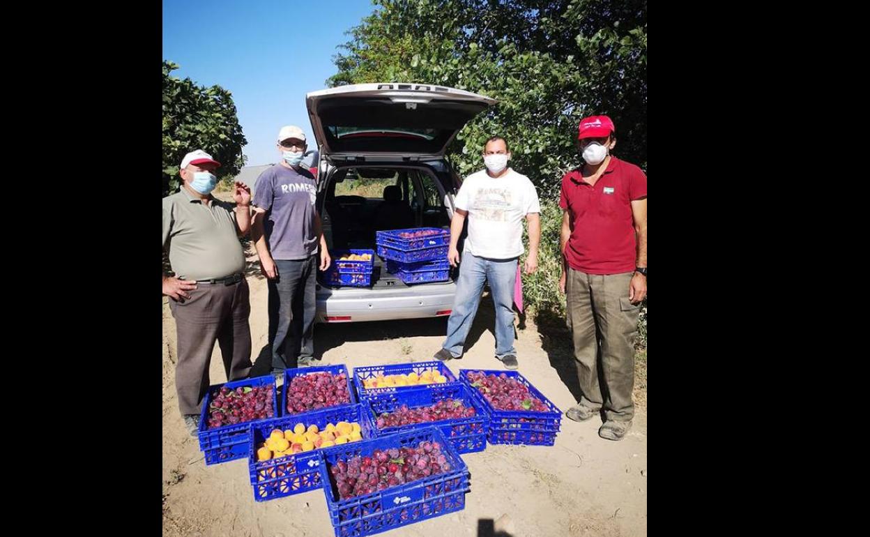 Voluntarios de Cáritas