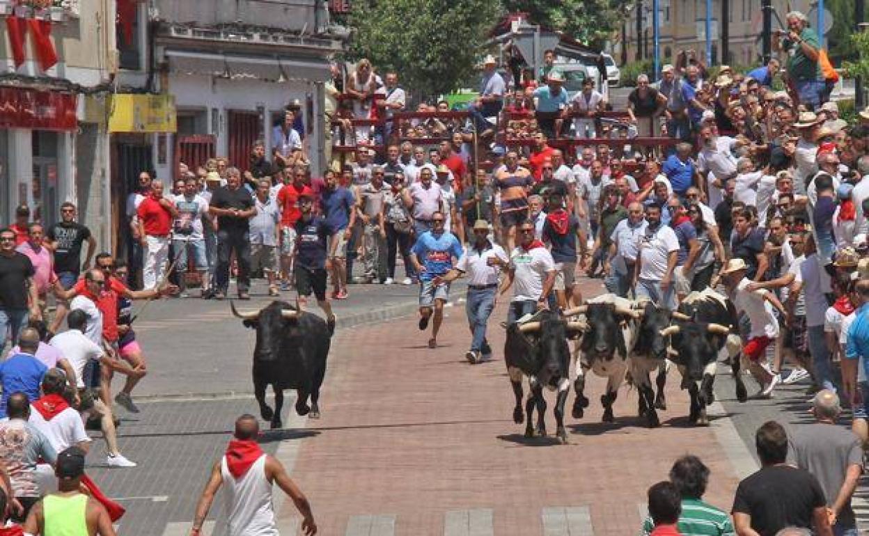Encierro de uno de los toros lidiados en la ciudad