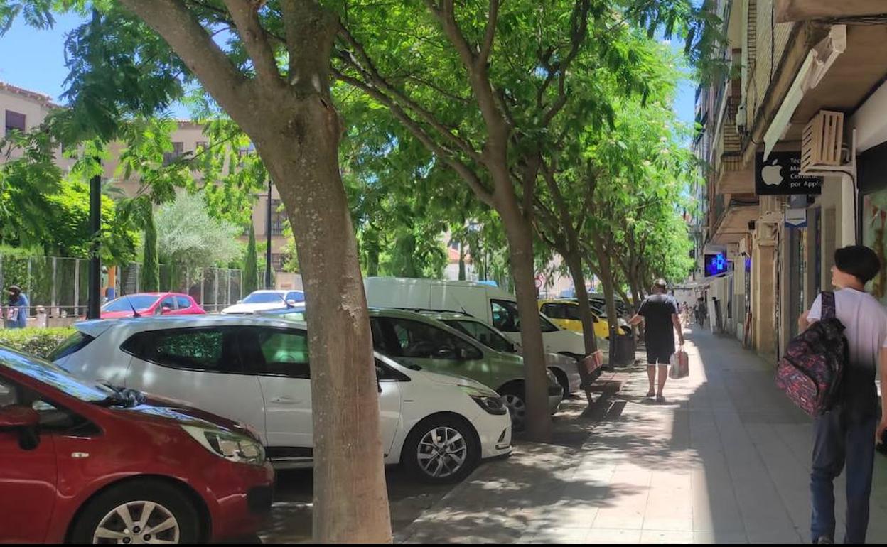 Avenida Virgen de Argeme