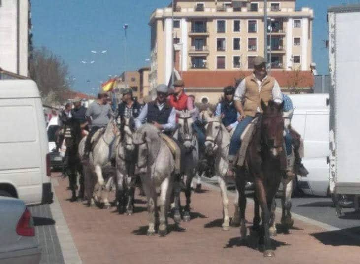 Pasacalles de caballistas por Coria, en una edición anterior.