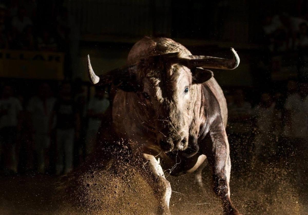 Imagen ganadora del año 2018.