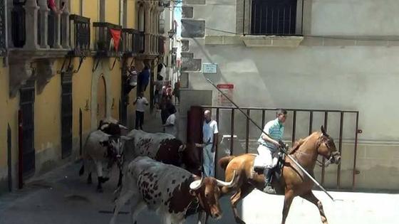 Se ultiman los detalles para el tradicional traslado de bueyes a caballos