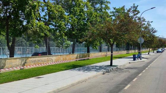 Alerta en el paseo de la Isla de Coria por avispas y panales