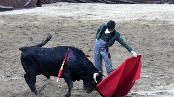 Julio Méndez gana el III Desafío de Escuelas Taurinas «Ciudad de Coria»
