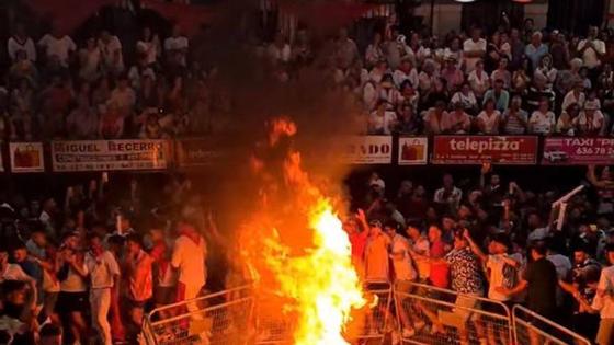 Coria inaugura las fiestas con el encierro y lidia tradicional de Clavel en el día grande de San Juan