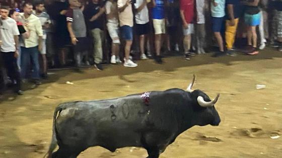 El toro de Victorino Martín dio juego, pero no todo el esperado