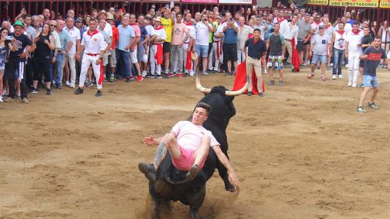 Fogoso se luce entre recortes y capas en su lidia