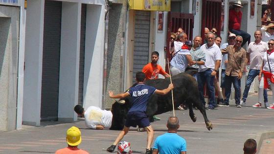 Últimos encierros de los Sanjuanes de Coria, en imágenes