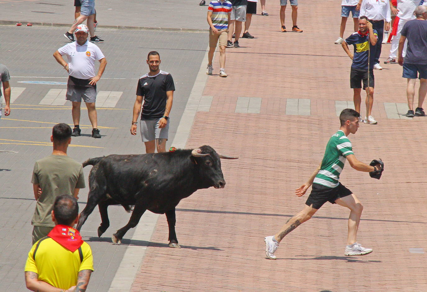 Últimos encierros de los Sanjuanes de Coria, en imágenes