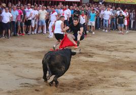 Vocea durante su lidia.