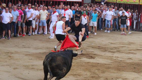 Vocea, el toro de La Geta se alza con el trofeo «Toro Me Gusta» Coria