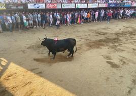 Vocea durante su lidia.