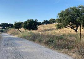 Caminos de Coria.