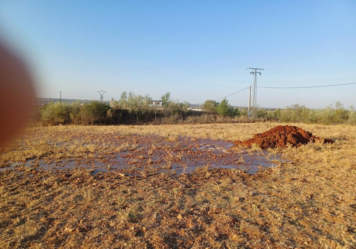 Tubería rota.