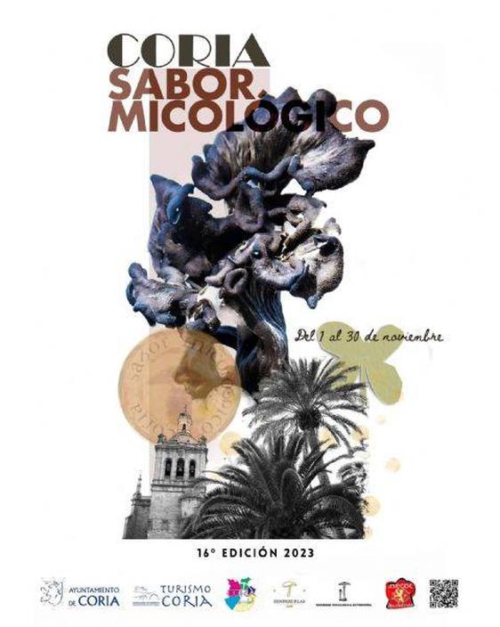 El XVI Mes Gastronómico, «Coria, sabor micológico», se celebrará en noviembre