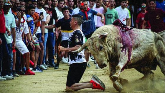 Coria y San Juan presentes en el calendario benéfico que realiza «Arribes Taurinas»