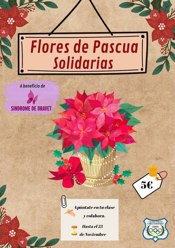 Flores de Pascua solidarias a beneficio del síndrome de Dravet