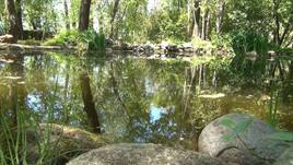 Naturaleza en Coria.
