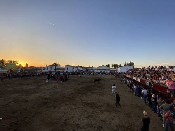 A licitación la concesión del servicio de barra de la carpa para el Festival de las Flores y las Fiestas Patronales de Rincón del Obispo