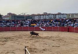Así se ha vivido el Espectáculo de recortadores, Arte en Extremadura en Coria
