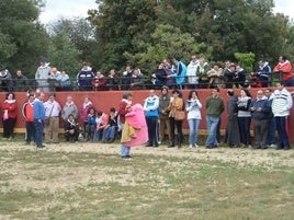 Jornada de la Discapacidad con el Toro Bravo anterior.