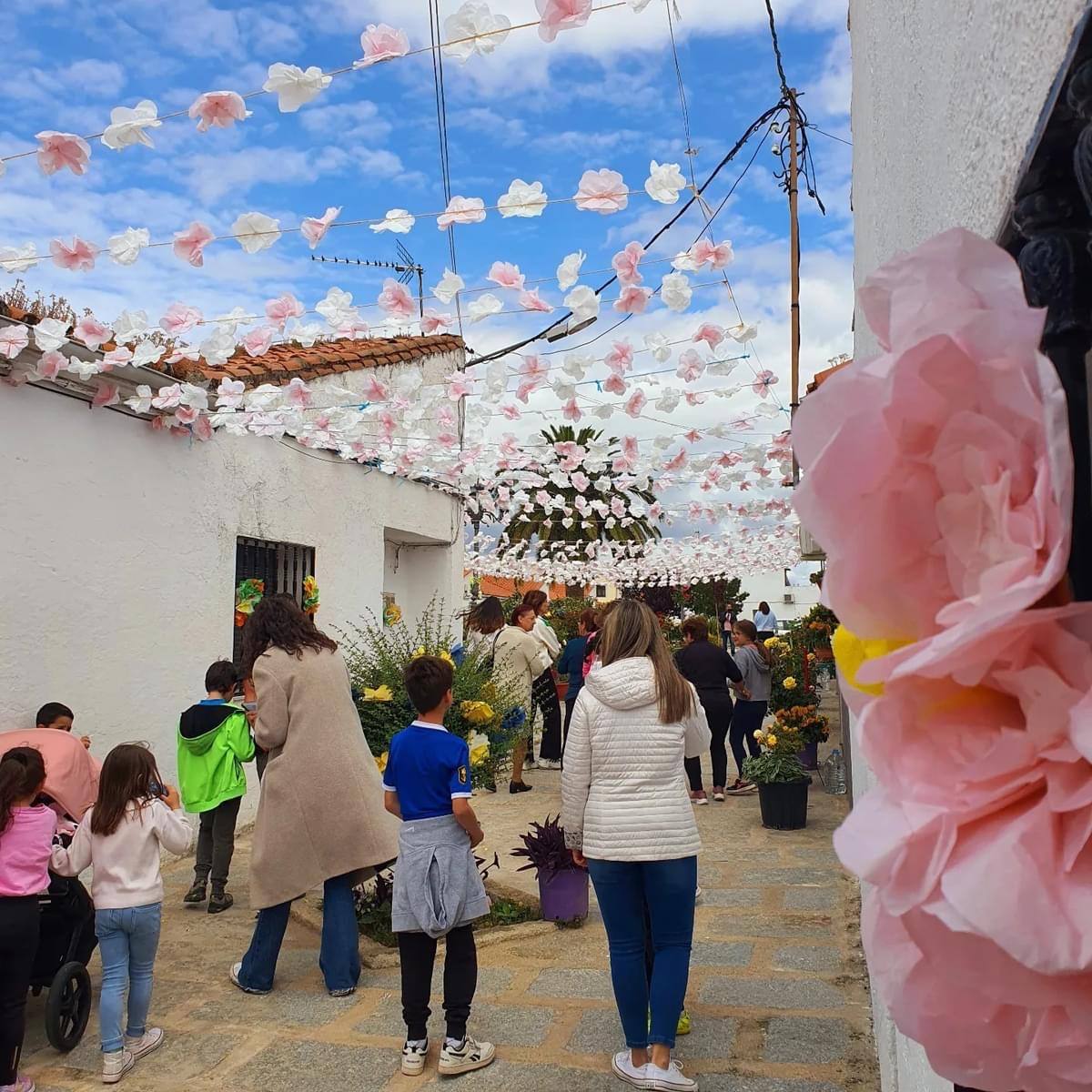 Vecinos del Rincón del Obispo asisten a su IX Festival de las Flores