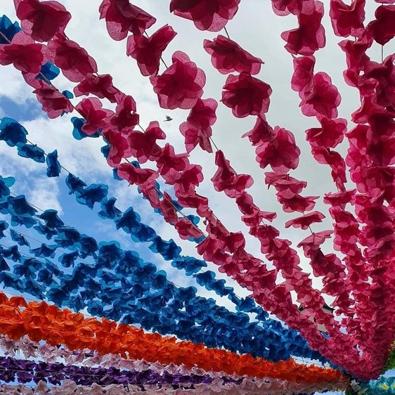 Vecinos del Rincón del Obispo asisten a su IX Festival de las Flores