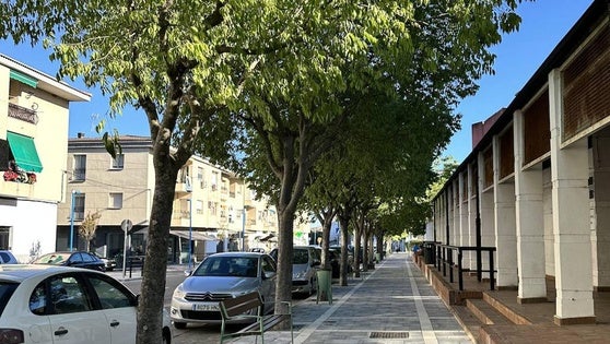 Finalización del proyecto de las obras de remodelación de la avenida Alfonso VII