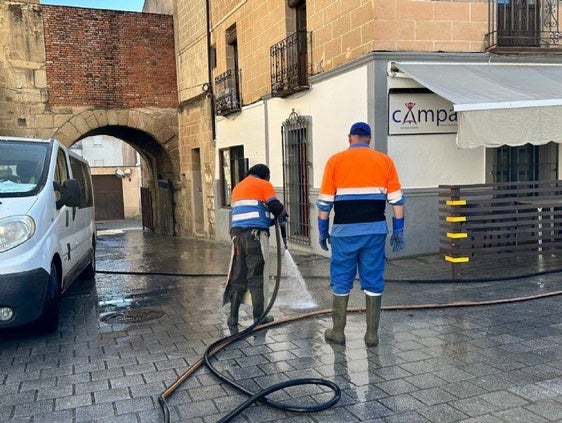 Coria realiza campañas de desinfección y desinsectación para el tratamiento y control de plagas de insectos