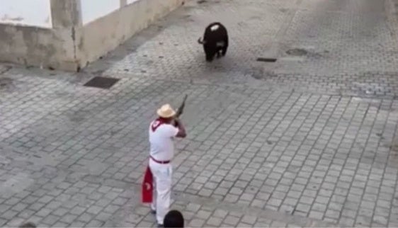 UED plantea un cambio de paradigmas en los San Juanes de Coria donde no se dé muerte al toro