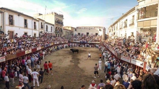 El DOE publica la inclusión de Coria en la Red de Municipios Taurinos de Extremadura