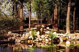 Jardín el Botánico.