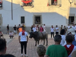 Segurón en su lidia en las calles.
